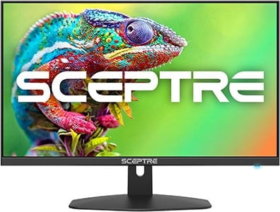 Sceptre E248W FW100T